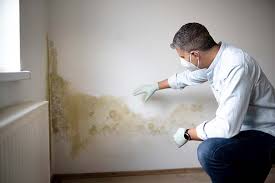 Best Comprehensive Air Testing for Mold Contaminants  in Chester, CA